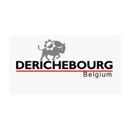 Logo from Derichebourg Belgium / Cashmetal  Stavelot