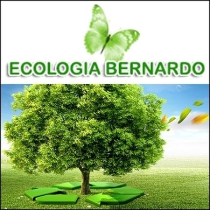 Logotipo de Ecologia Bernardo