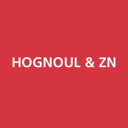 Logotipo de Hognoul & Zn