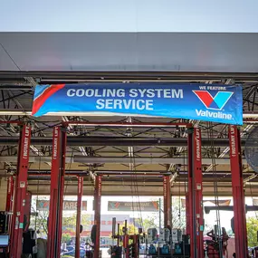 Bild von Tire Discounters