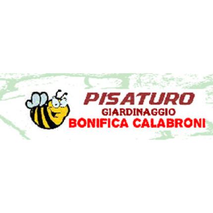 Λογότυπο από Pisaturo Giardinaggio e Bonifica Calabroni