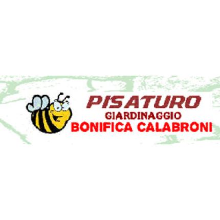 Logotipo de Pisaturo Giardinaggio e Bonifica Calabroni