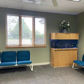 Bild von First Smiles Dental and Braces