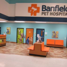 Bild von Banfield Pet Hospital