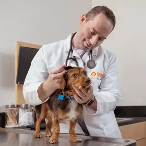 Bild von Banfield Pet Hospital