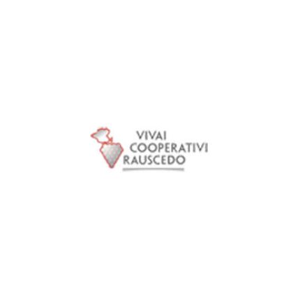 Logo fra Vcr Vivai Cooperativi Rauscedo