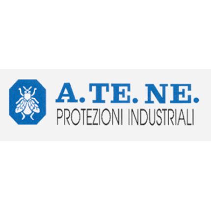 Logo van A.Te.Ne. - Soffietti in Gomma - Ogive