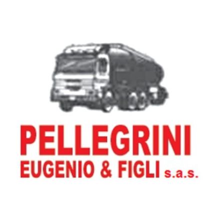 Logo da Pellegrini Eugenio & Figli Sas
