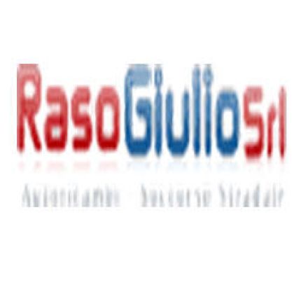 Logo von Autoricambi Raso Giulio