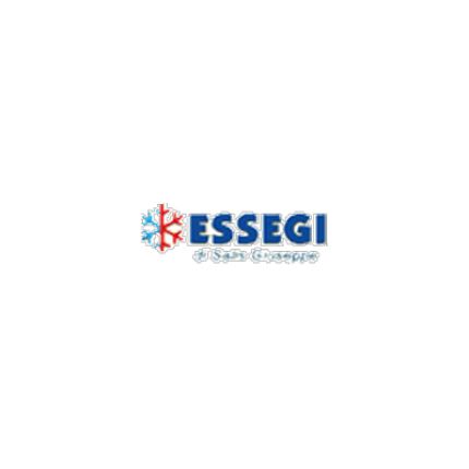 Logotyp från Essegi