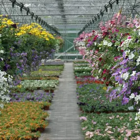 Bloemenkwekerij de Tol