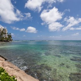 Bild von Diamond Head Beach Hotel & Residences