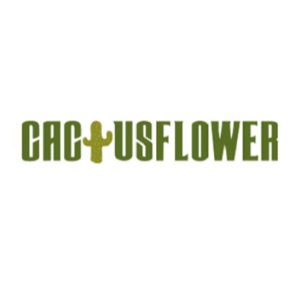 Logo da Cactusflower