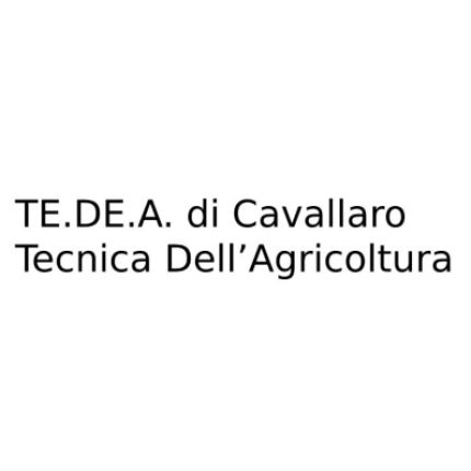 Logo from TE.DE.A.