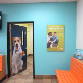 Bild von Banfield Pet Hospital