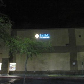 Banfield Pet Hospital - Deer Valley