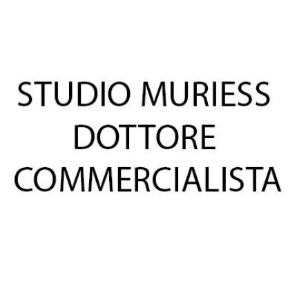Logotyp från Studio Muriess Dottore Commercialista