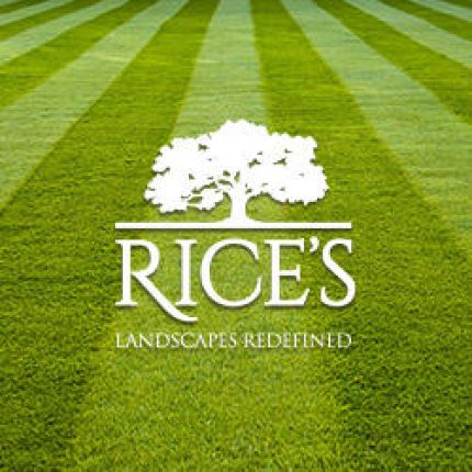 Logotyp från Rice's