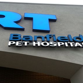 Banfield Pet Hospital - Jacksonville