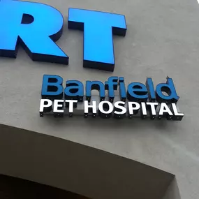 Banfield Pet Hospital - Jacksonville