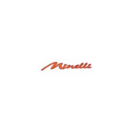 Logo von Autonoleggi Minelli