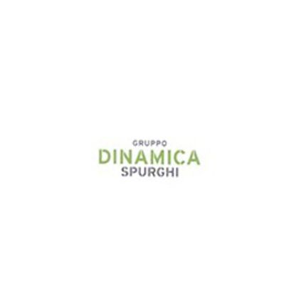 Logo od Dinamica Spurghi