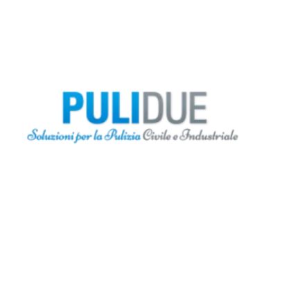 Logo da Pulidue