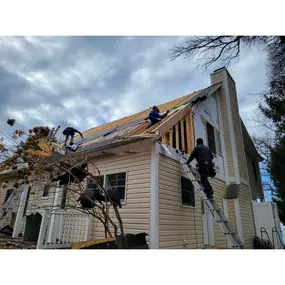 Tree damage repair North East, MD