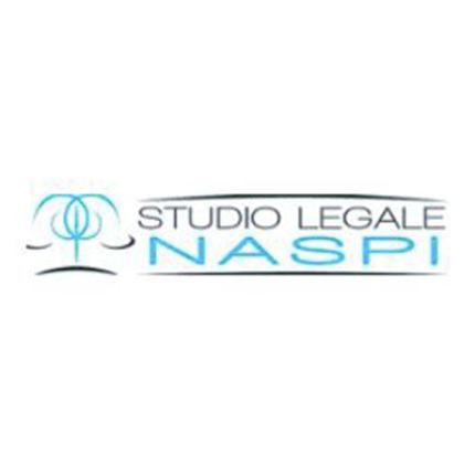 Logo fra Studio Legale Avv. Fabrizio Naspi