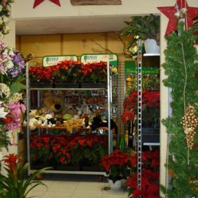 yerbaflor-interior-floristeria-02.jpg