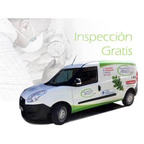 inspeccion-plaga-01.jpg