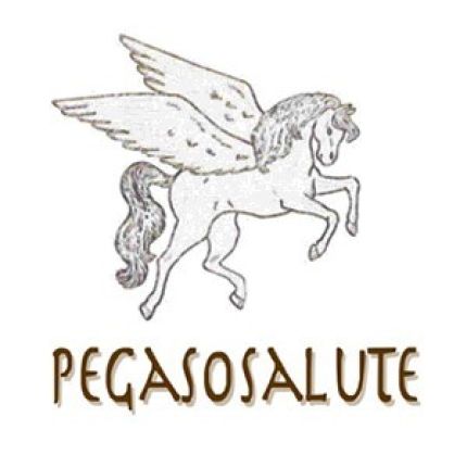 Logo van Pegaso Salute