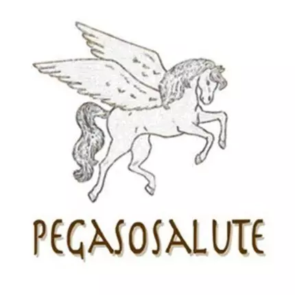 Logo van Pegaso Salute