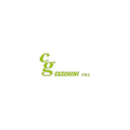 Logotipo de Cg Cecchini