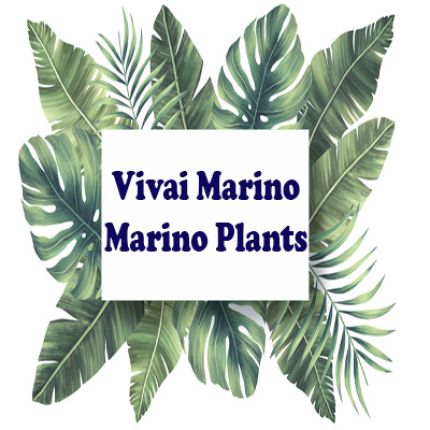 Logo fra Vivai Marino - Marino Plants