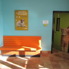 Bild von Banfield Pet Hospital