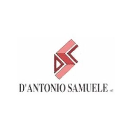 Logotipo de D'Antonio Profili Sas