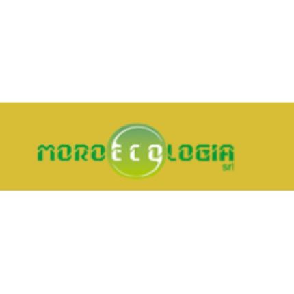Logo from Autospurghi Moro Ecologia