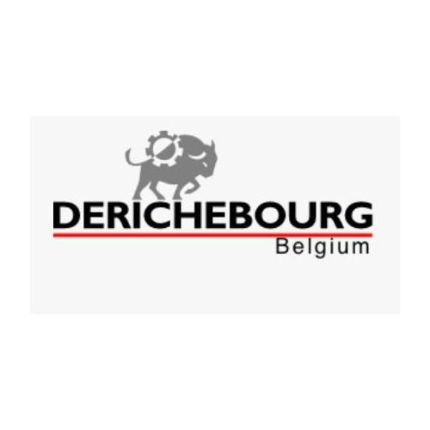 Logo od Derichebourg Belgium / Cashmetal Bruxelles