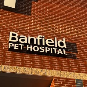 Banfield Pet Hospital® - Citrus Park