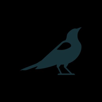 Logo da Blackbird Digital