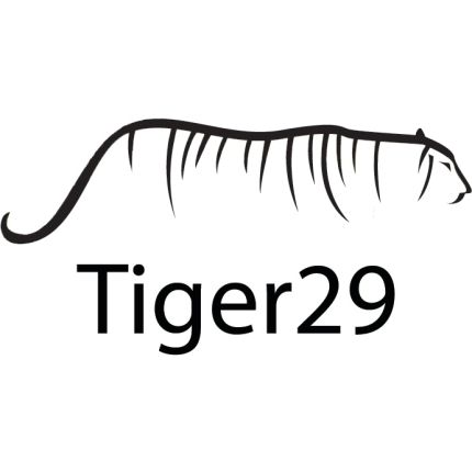 Logo da Tiger29 - Sioux Falls SEO
