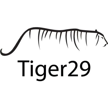 Logo van Tiger29 - Sioux Falls SEO