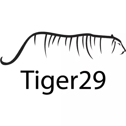 Logo od Tiger29 - Sioux Falls SEO