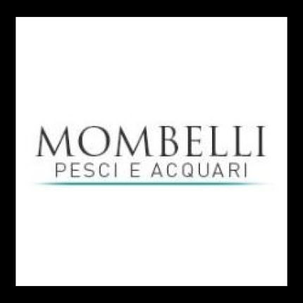 Logotyp från Acquari Mombelli