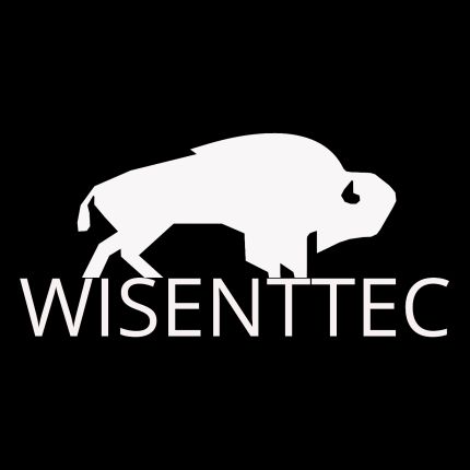 Logotyp från Wisenttec GmbH