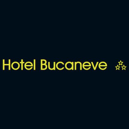 Logotyp från Hotel Bucaneve