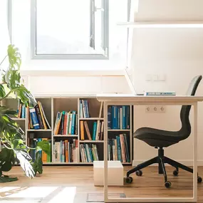 Bild von Mag. Dr. Daniela Renn