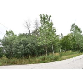 Lot For Sale 
11665 Orchard Rd
Willow Springs, IL 60480