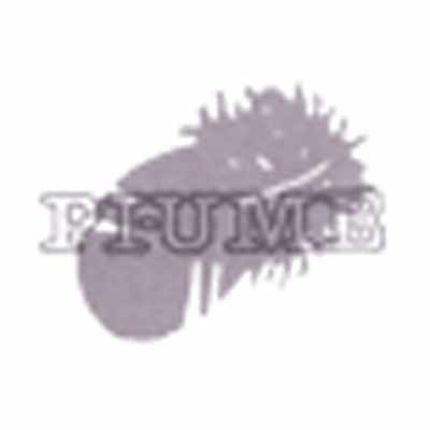 Logotyp från Pi-Ume